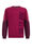 Jongens sweater met colourblock, Bordeauxrood