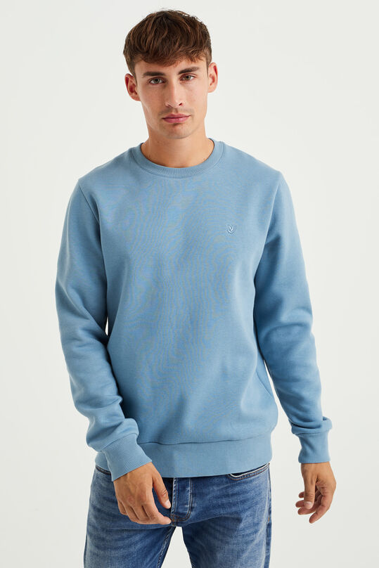 Heren sweater, Lichtblauw