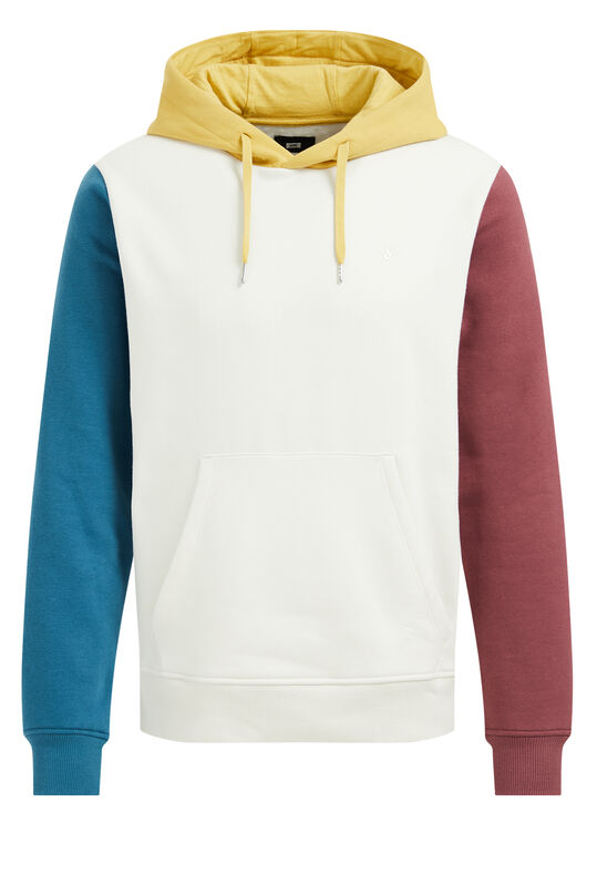 Heren hoodie met colourblock, Multikleur
