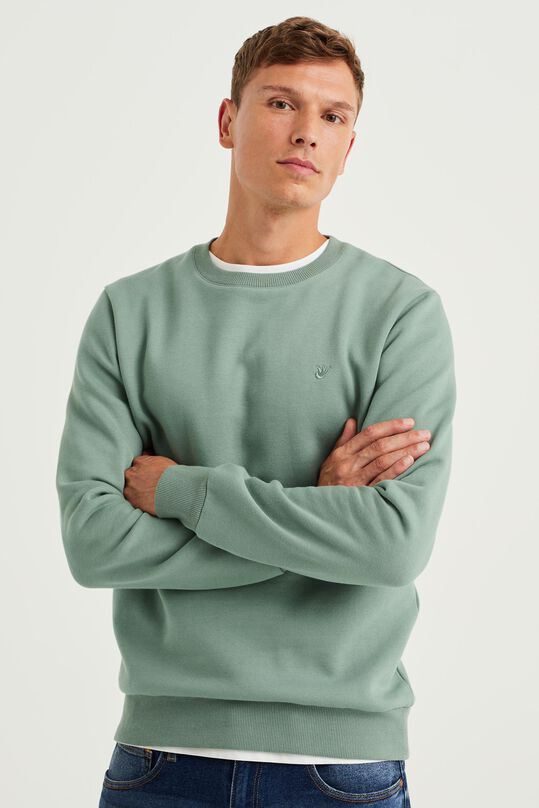 Ongrijpbaar Dor Gietvorm Heren sweater | wefashion.be